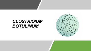 Clostridium botulinum: Botulismo, síntomas y prevención