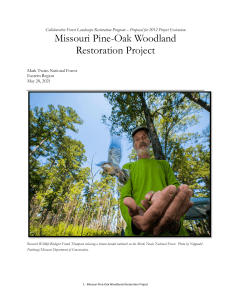 R9 MissouriPineOakWoodlandRestorationProject Extension