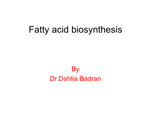 Fatty-acid-biosynthesis-2