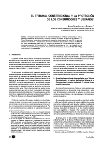 LECTURA 16 EL TRIBUNAL CONSTITUCIONAL Y LA PROTECCION DE LOS CONSUMIDORES Y USUARIOS