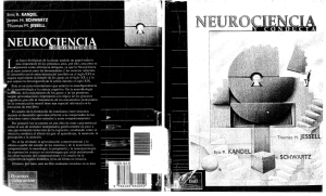 pdfcoffee.com neurociencia-y-conducta-kandel-3-pdf-free