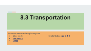 8.3 Transportation