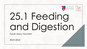 25.1 Feeding and Digestion