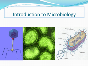 microbiologypptx-180717040538