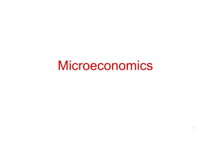 gilboa microeconomics slides