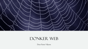 DONKER WEB SLIDES 1