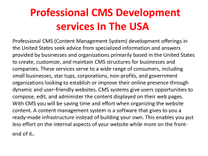  Professional CMS Development services In The USA