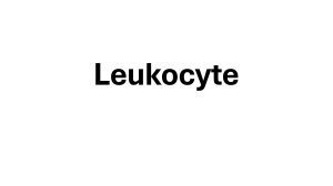 2.0-Leukocyte