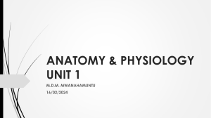 Anatomy & Physiology Unit 1: Introduction to the Human Body