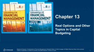 Real Options & Capital Budgeting