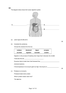 Animal tissues, Organs and Organ systems 1(2)
