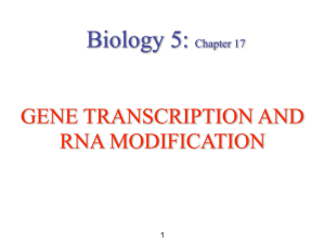  2023 Transcription Biology 5 （revised ）