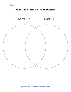 venn diagram animal and plant cells