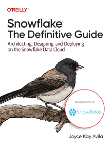 Snowflake-The-Definitive-Guide-1