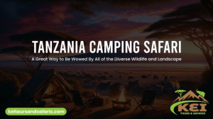 Budget-Friendly Tanzania Camping Safaris: Unveiling Africa's Magic