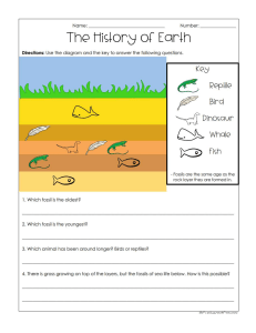 1.1.2 History of the Earth