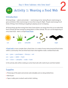 Food-Web