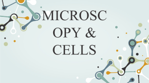 Microscopy & cells 2022