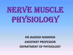 NERVE MUSCLE PHYSIOLOGY-16-12-14