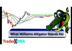 Alligator Indicators