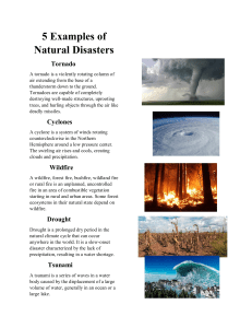 Examples of Natural Disasters