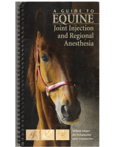 A GUIDE TO EQUINE INJECTION AND REGIONAL ANESTHESIA