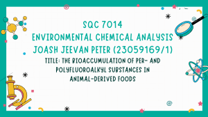 THE BIOACCUMULATION OF PER- AND POLYFLUOROALKYL SUBSTANCES IN ANIMAL DERIVED FOODS