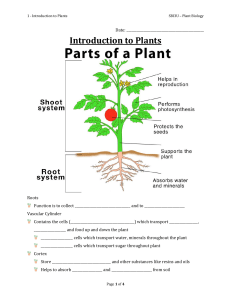 01 - Introduction to Plants