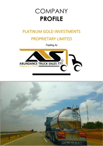 Platinum Gold Investments - Company Profile