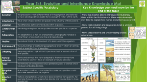Knowledge Mat Evolution 2023
