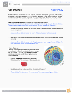 cell organelles