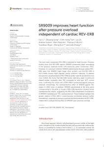 SR9009 improves heart function after pressure overload independent of cardiac REV-ERB