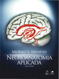  Neuroanatomia Aplicada - Murilo S. Meneses - 3 ed.