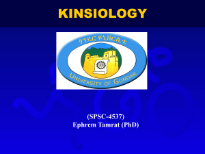 Kinsiology 4537