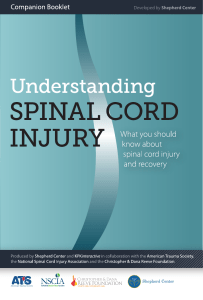 Understanding Spinal Cord Injury Booklet