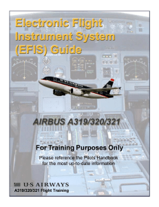 EFIS GUIDE