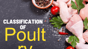Classification of Poultry edited