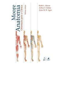 Anatomia Orientada Para a Clínica - Moore - 7ed