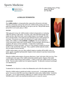 rehabilitation-protocol-for-achilles-tendinitis