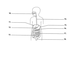 Digestive tract to label