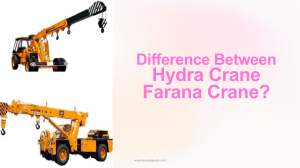 Difference-Between-Hydra-Crane-and-Farana-Crane
