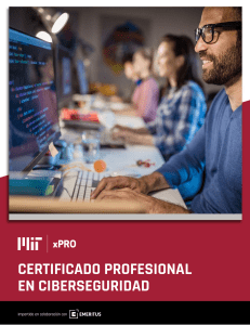MIT xPRO Cybersecurity Professional Certificate Spanish