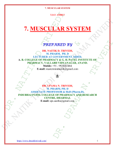 7.-MUSCULAR-SYSTEM