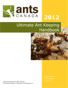 toaz.info-antscanada-ultimate-ant-keeping-handbook1-pr 5d1c848e44fb730b74578aa703e4cd4d