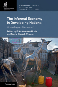 The informal economy in developing nations (2016)