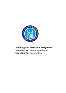 audit assignment 