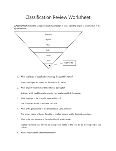 Classification Worksheet