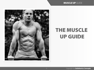 King of Weighted Muscle up guide