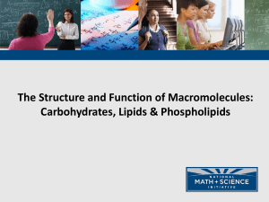 macro structure and function (1)