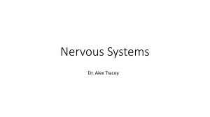 Nervous Systems-Allied Health
